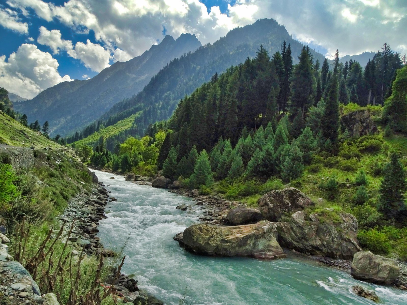 WONDERFUL KASHMIR - OPTION A