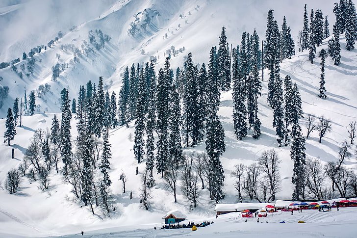 SEE PARADISE KASHMIR 